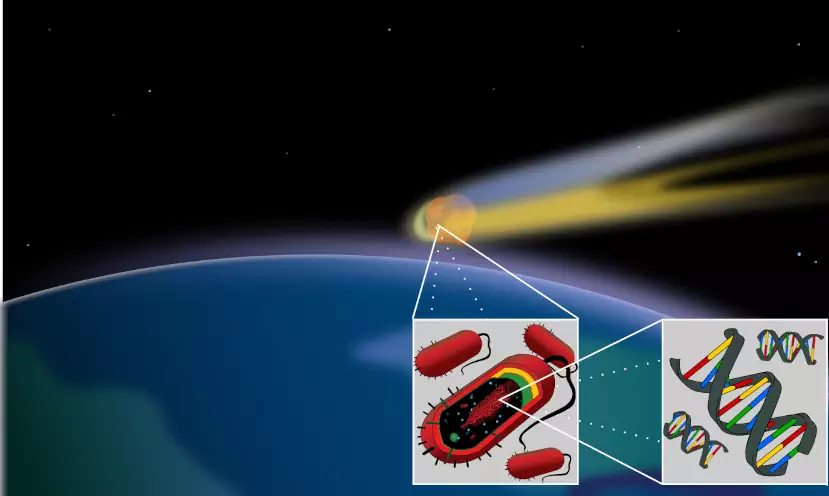 Изображение кометы, которая переносит бактериальную форму жизни на Землю из космоса