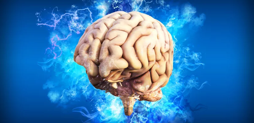 Что делает мозг, пока человек без сознания?