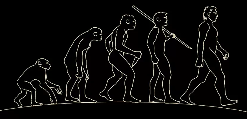 Прямохождение у предков человека появилось при передвижении на деревьях – новая гипотеза ученых