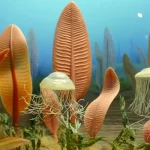 Диорама типичного подводного пейзажа эдиакарского периода