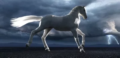 Белые кони в истории и мифологии: значение символа, предзнаменования и сверхъестественные явления