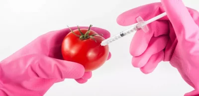 Продукты с ГМО — вред или польза для человека? Преимущества и недостатки генетически модифицированных организмов