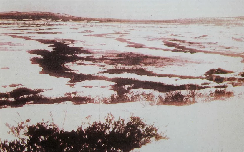Фотография топей реки Тунгуски в предполагаемом районе Тунгусского события, опубликованная в журнале «Вокруг света» в 1931 году