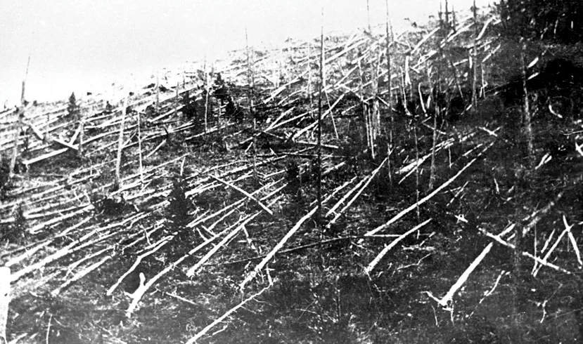 Упавшие деревья в месте падения Тунгусского метеорита
