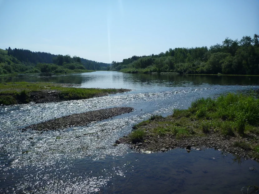 Место впадения реки Молёбки в Сылву