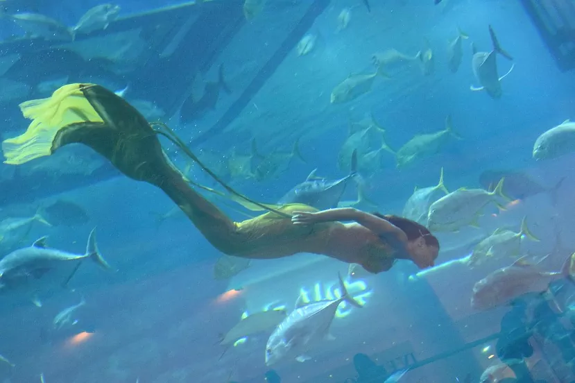 Шоу русалок в аквариуме торгового центра Dubai Mall