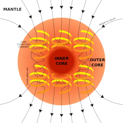 Изображение, показывающее взаимосвязь между движением проводящей жидкости (организованной в рулоны силой Кориолиса) и магнитным полем Земли, генерируемым этим движением