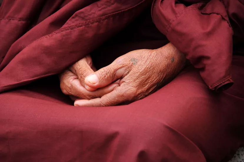 Руки буддиста